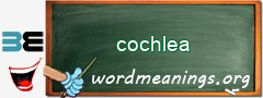 WordMeaning blackboard for cochlea